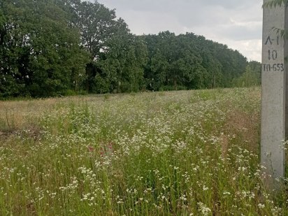 Ділянка 10 соток. Біля Кооперативу "Розвиток". Просіка Черкаси