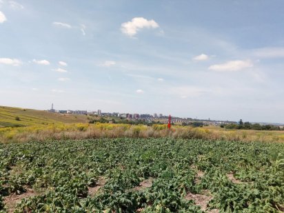 Продам земельну ділянку м. Рівне Рівне