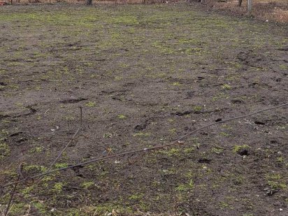 Земельна ділянка Сумы