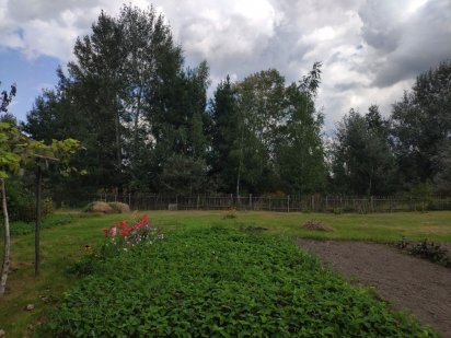 Продам дачну ділянку Суми