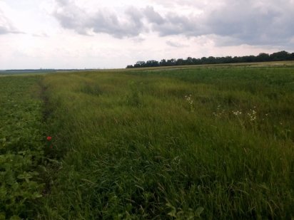 Земельна ділянка Тернопіль