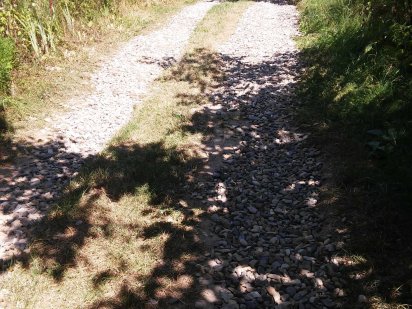 Продам дачу вул.Вижницька Чернівці