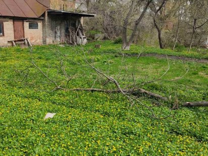 Земельна ділянка у центрі міста, парк Перемоги. Полтава