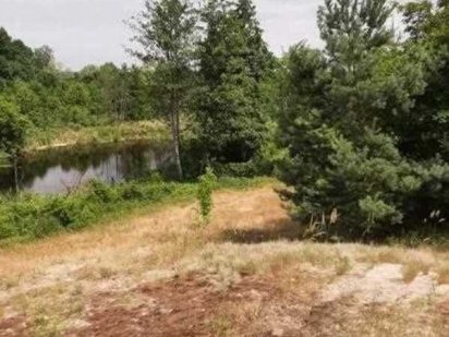 Ділянка в сосновому лісі біля водойоми! Полтава