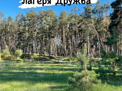 Продам участок Барановка Суми