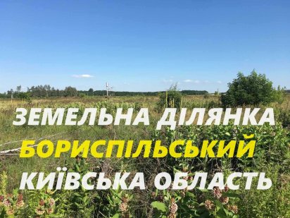 Ділянка 60Га 60$/сотка Київська область, Бориспільський район Бориспіль