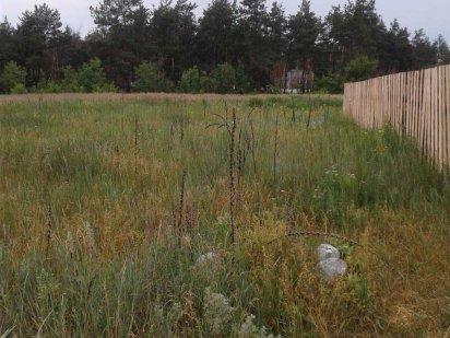 м. Ірпінь 10 сот Для індивідуального садівництва Ірпінь