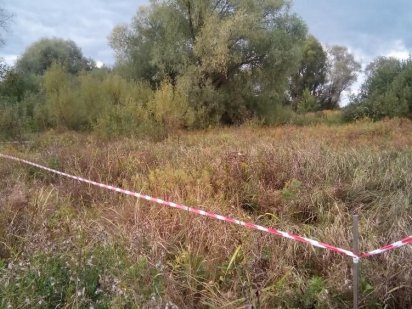 Продажа участка под застройку в Борисполе (Лозовка) Бориспіль