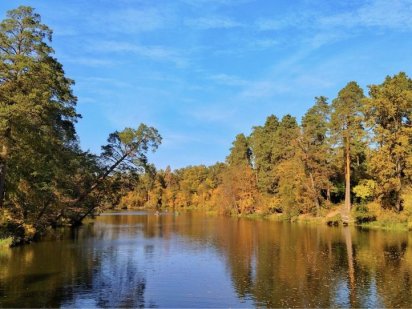 Ділянка у Пуща-Водиці Киев