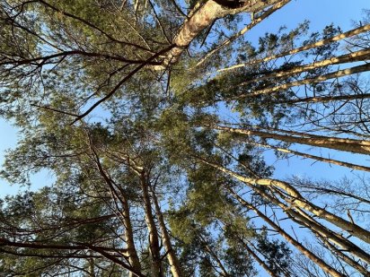 Продаж ділянок з виходом на воду біля лісу Конча-Заспа Голосіівський р Київ