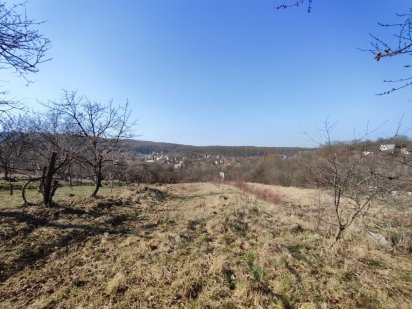 Продається земельна ділянка на вул. Березівська (Цецино). 27 соток! Черновцы