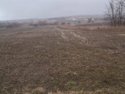 Пай рівне новий двір Рівне