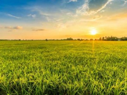 Комерція 0,5 Га під будівництво  +1 Га  с/г Рівне