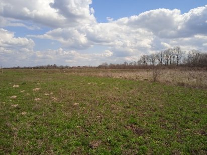 Ділянка під забудову на Вінницьких Хуторах Винница