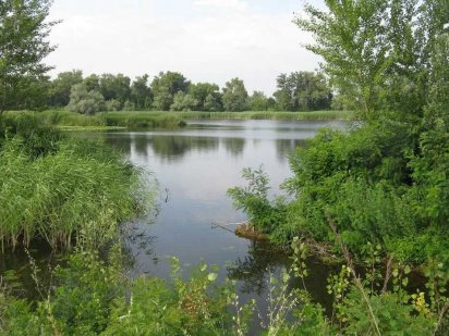 Продам участок на Самарском острове со своим берегом Дніпро