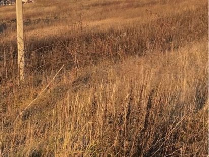 Продам ділянку Червоні Гори. Власник. Ровно