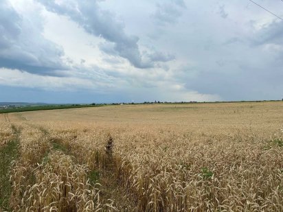 Продаж земельної ділянки р-н Молодіжне! Рівне