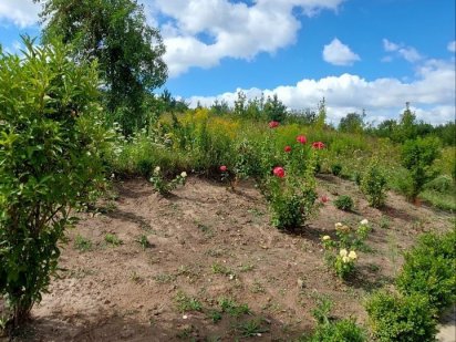 Ділянка по вулиці Щасливій Рівне