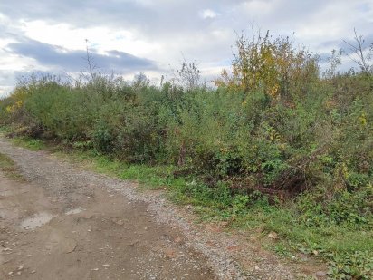 Продається ділянка, 50 соток.