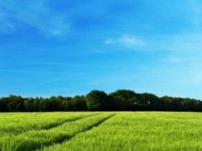 земельна ділянка Чернівці