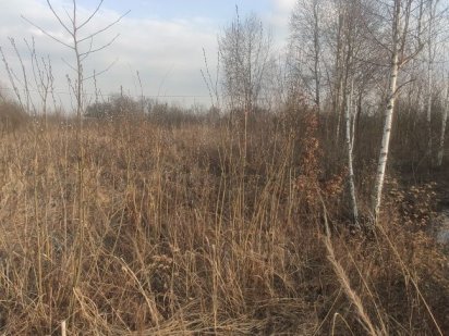 Земельний Участок Крошня Житомир 9 соток з озером за Малинським ринком Житомир