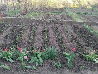 Продам дачный участок