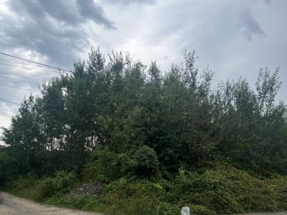 Продається ділянка біля лісового масиву. Район Джерельна