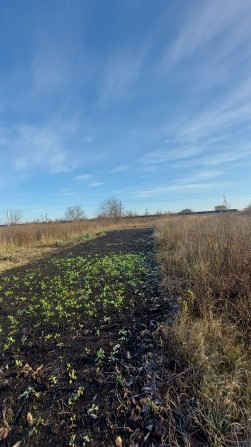 Продаж земельної ділянки р-н Хінчанка - фото 1