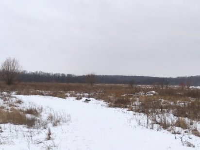 Земельна ділянка коло Тропіканки, коло лісу та озера Вінниця