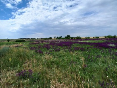 Продам 30соток под застройку в черте города Кропивницкий