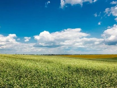 Продаж земельної ділянки