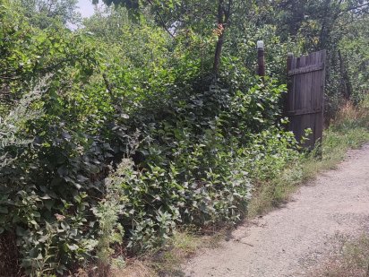 Земельный участок