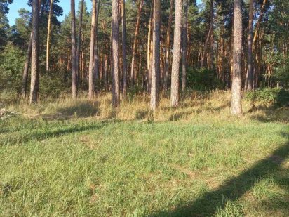 Продам в  лесном районе в Пуще Водице участок 10 соток. под застройку! Киев