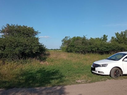 Земельна ділянка 10 соток, дачі Песецького