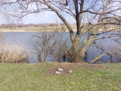 Продам участок в Бережинке .