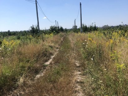 Продаж земельної ділянки Тяжилів. Від власника Винница