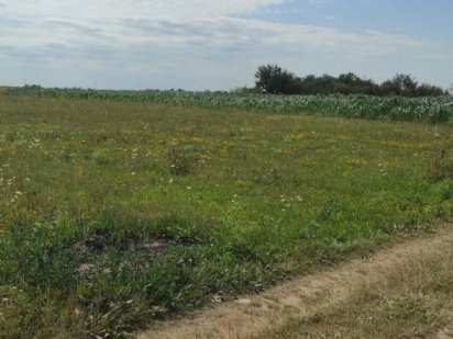 Продаж земельної ділянки під ОСГ