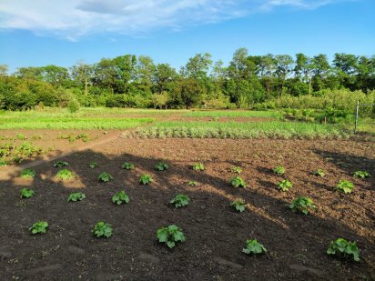 Земельный участок под застройку Запорожье
