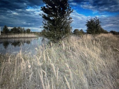 Участок 4,28 Га, Киев, Осокорки, рядом стадион «Левый берег» Киев