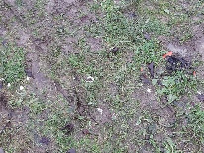 Продається земельна ділянка. Ужгород