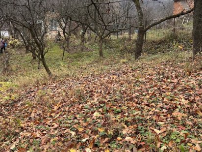 Продаж земельної ділянки на Роші Чернівці