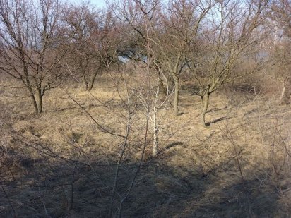 10 соток , за Подгородним мостом . Дачный массив . Днепр