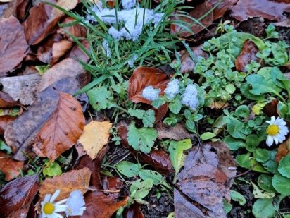 Терміново! Земельна ділянка в районі Джерельної Ужгород
