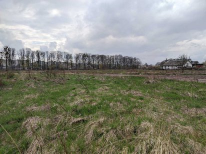 Земельна ділянка в Рясне-1 (5.85 соток біля Брюховицького лісу) Львов