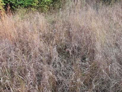 Продам ділянку 4,5 сотки Житомир