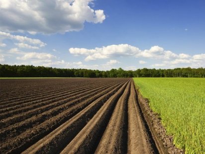 Продам пай земельний Миколаїв