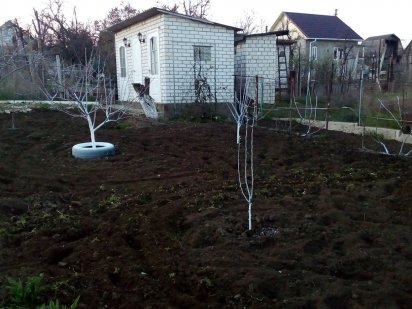 Продам дачний участок 5.5 соток Сади 1 Миколаїв