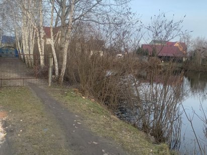 Ділянка 12 соток, Осокорки, м.Славутіч Киев