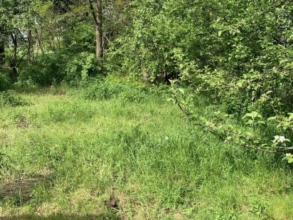 Продам земельну ділянку Житомир