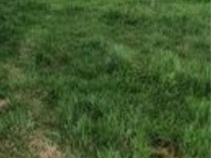 Продам земельну ділянку Житомир